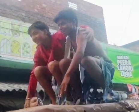Video of stunts and dialogues on e-rickshaw goes viral