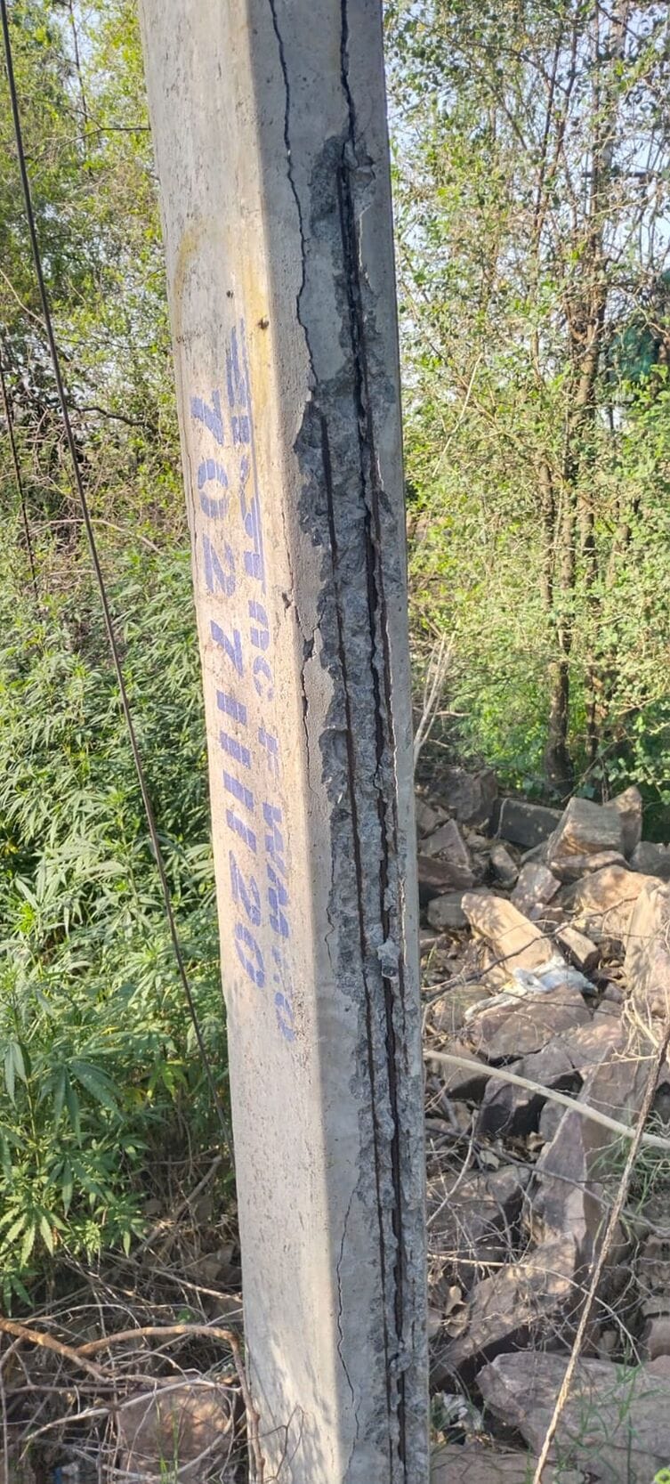 Over 60 Dilapidated Electric Poles in Agihar Village Pose a Danger