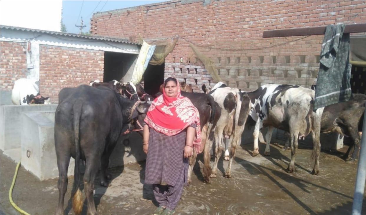 Women are scripting a new chapter of self-reliance