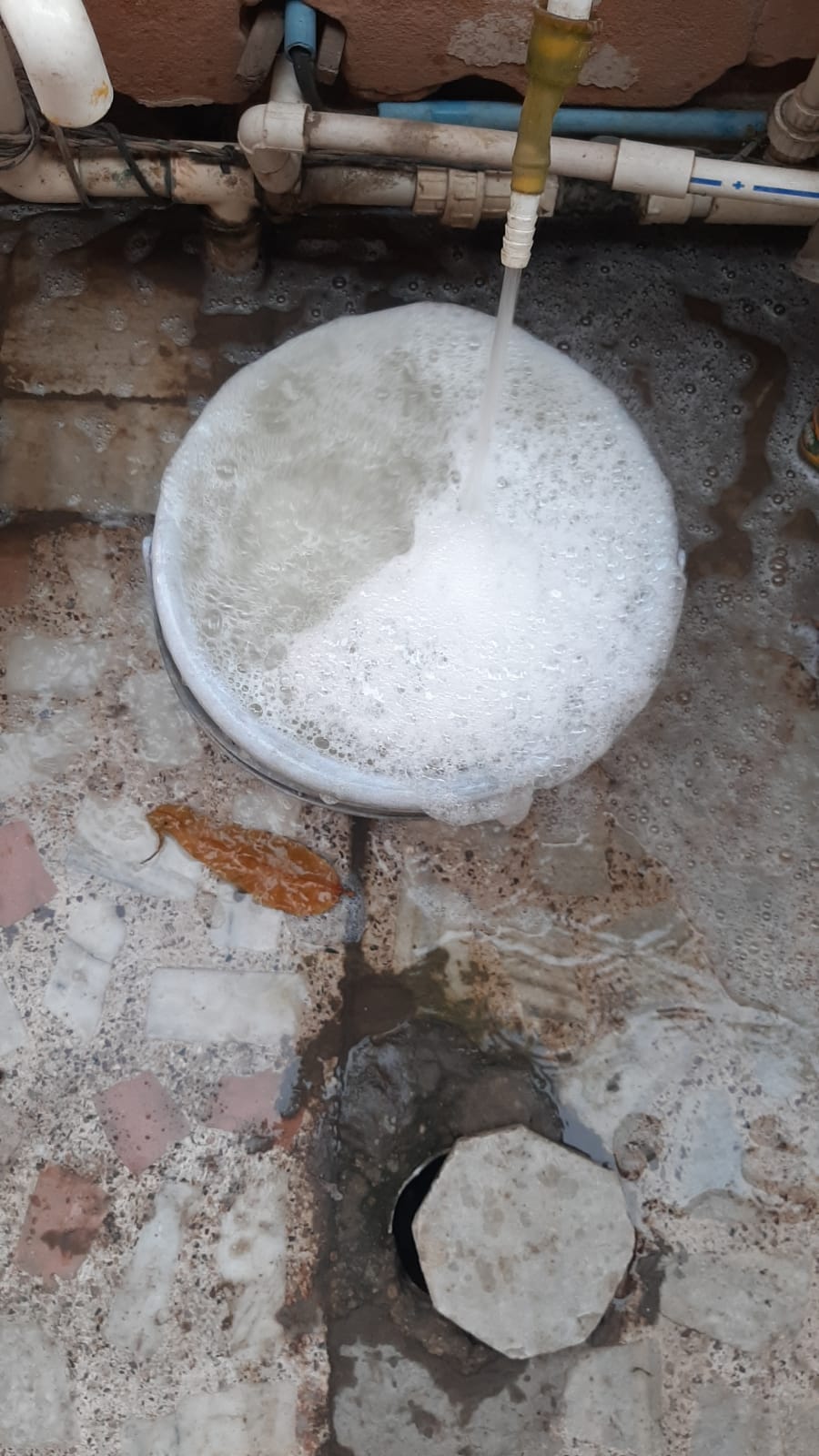 The drain lines leaked, and 'poison' dripped from the taps.
