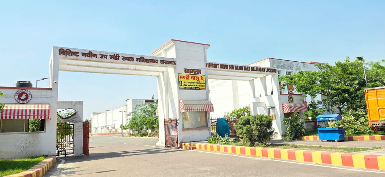 Arhatiyas upset with temporary mango market