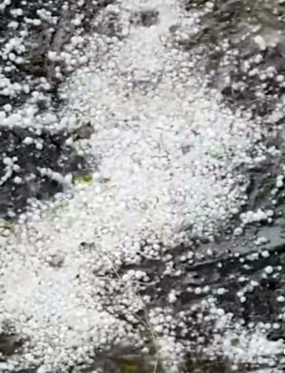 Hailstones rained from the sky, damaging apples, pears and plums.