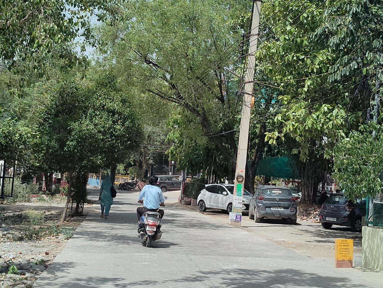 A city forest will be built in the city, increasing green cover and providing clean air.