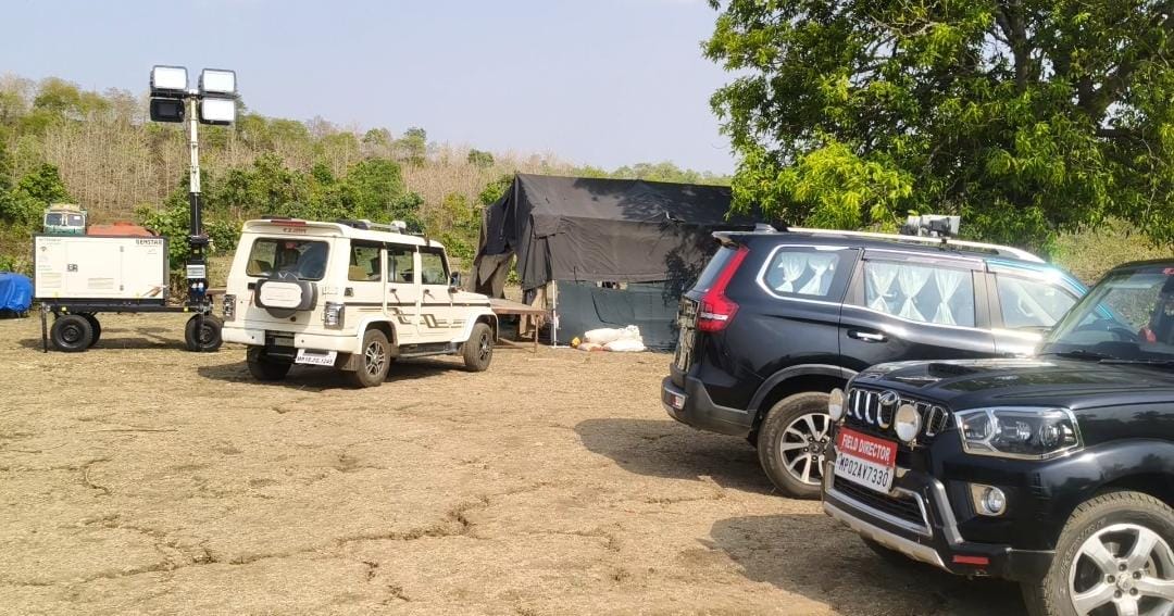 Shahdol News: Rogue Elephant Breaks Cage During Rescue, Escapes Into Forest Amid Chaos