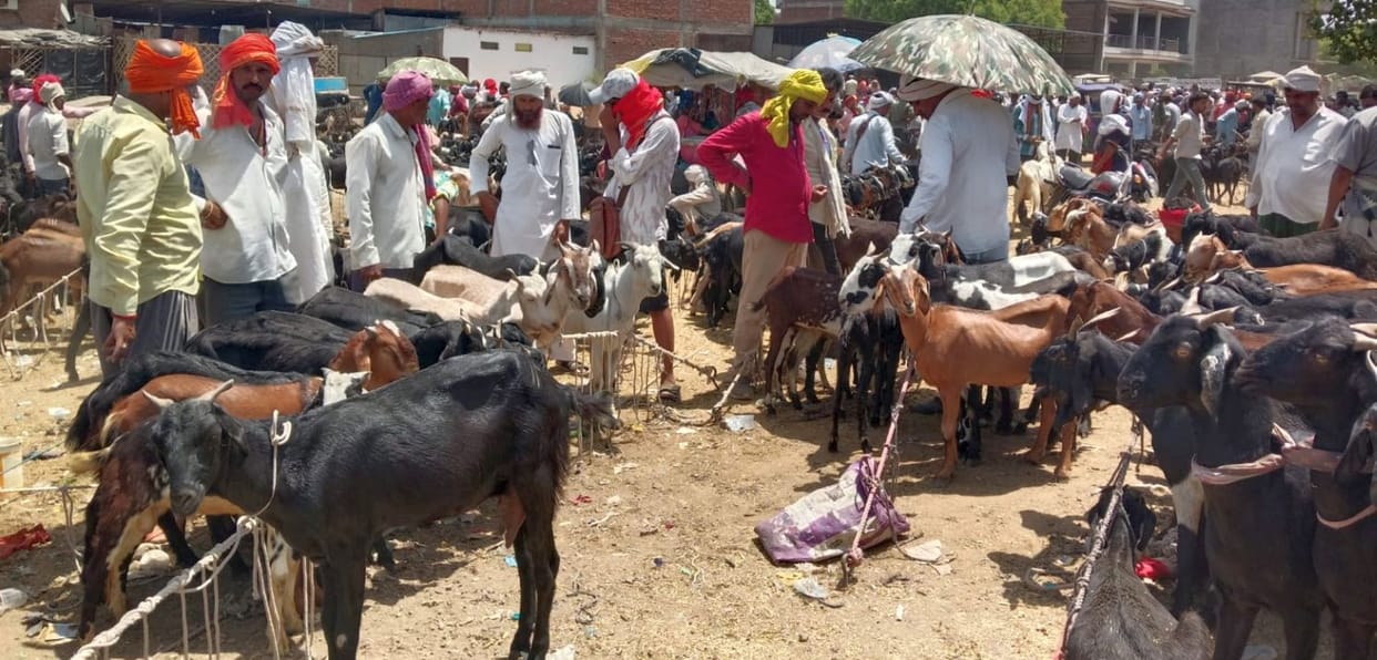 Bakrid prayers will be held at 7:15 a.m. at the Shahi Mosque.