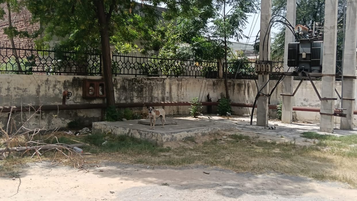 Chhotu Ram Sports Stadium is in a bad condition, players are worried.