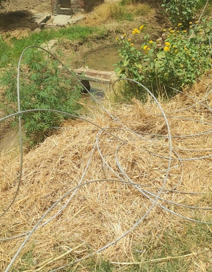 electric wire in field