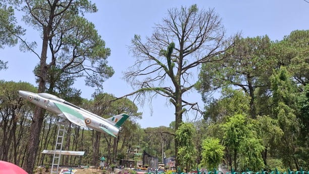 Dry tree poses threat at Martyr's Memorial Dharamshala