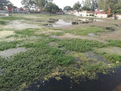 Dirt in Dharnidhar Sarovar before the royal bath