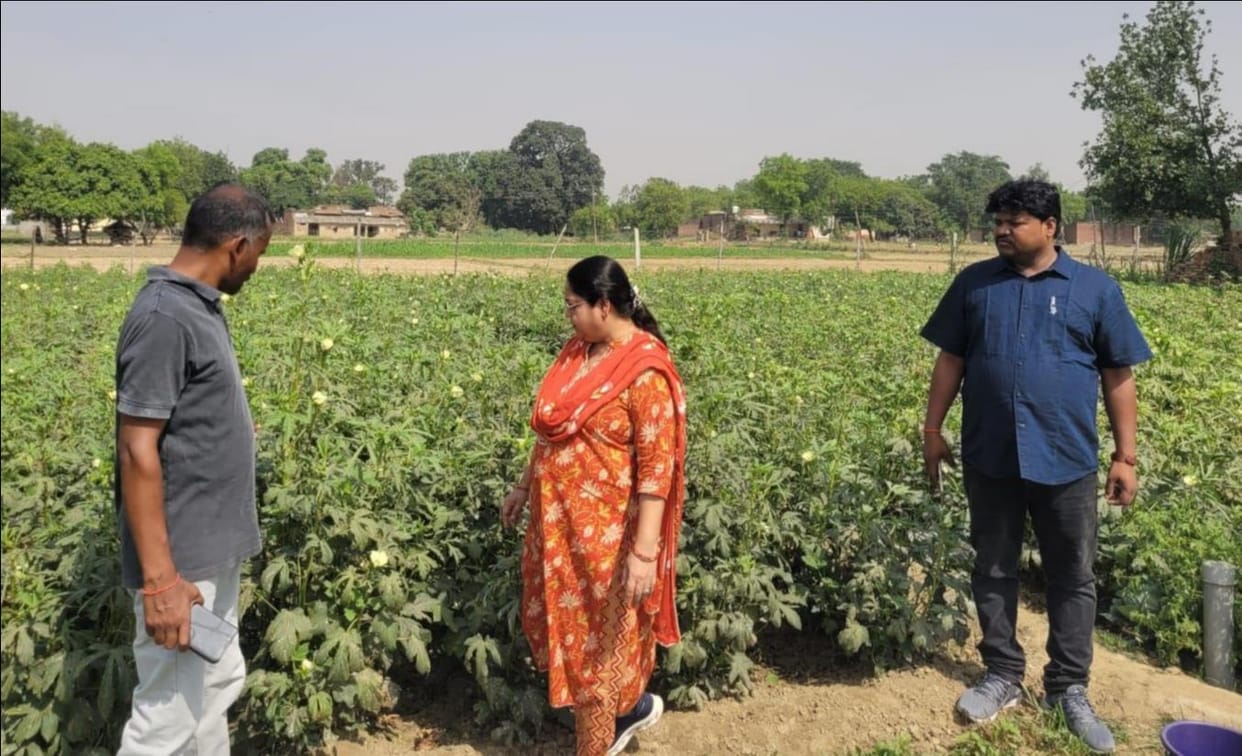 With the help of hi-tech nurseries and the horticulture department, farmers are becoming self-reliant.