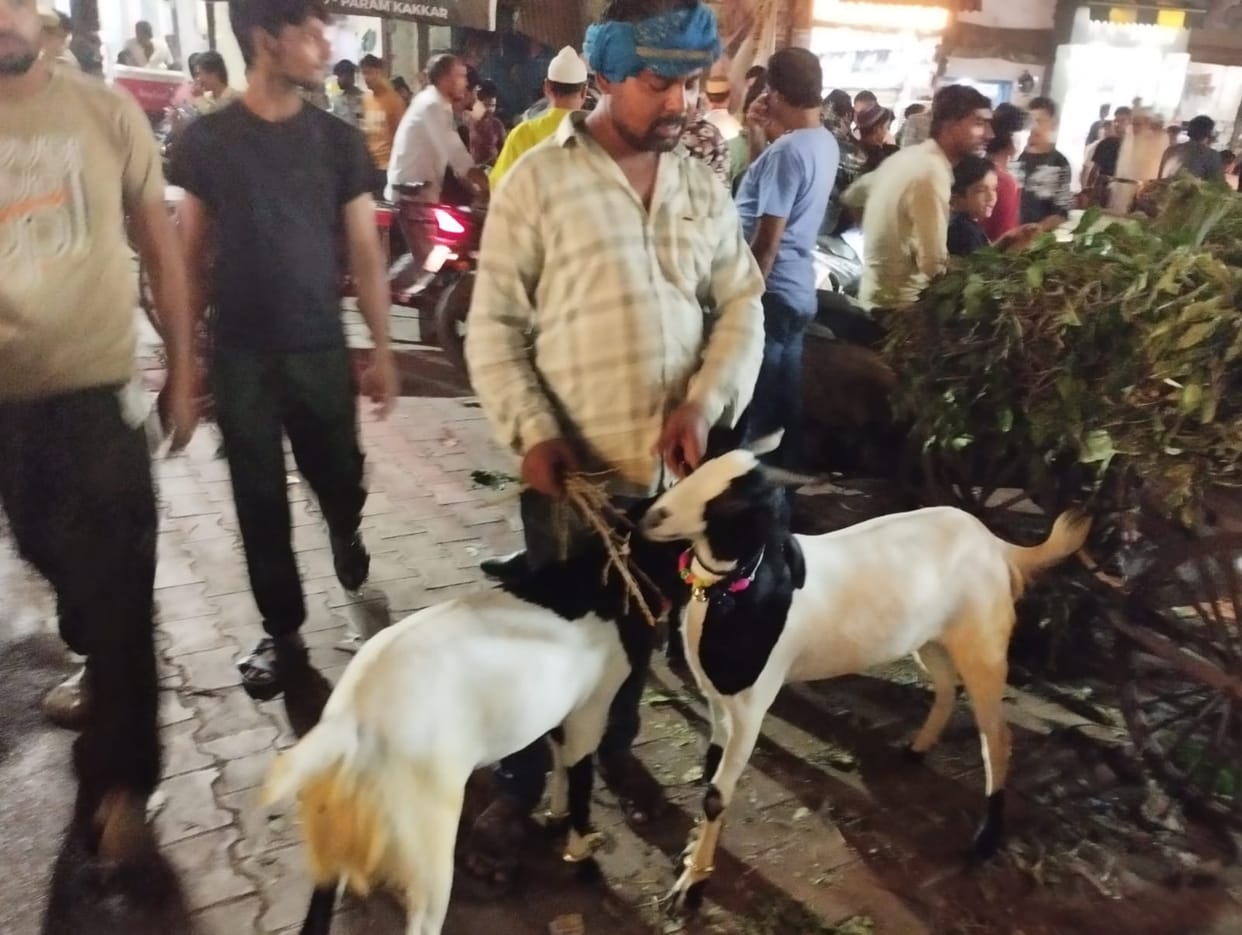Decorated market of goats, high demand for Totapari