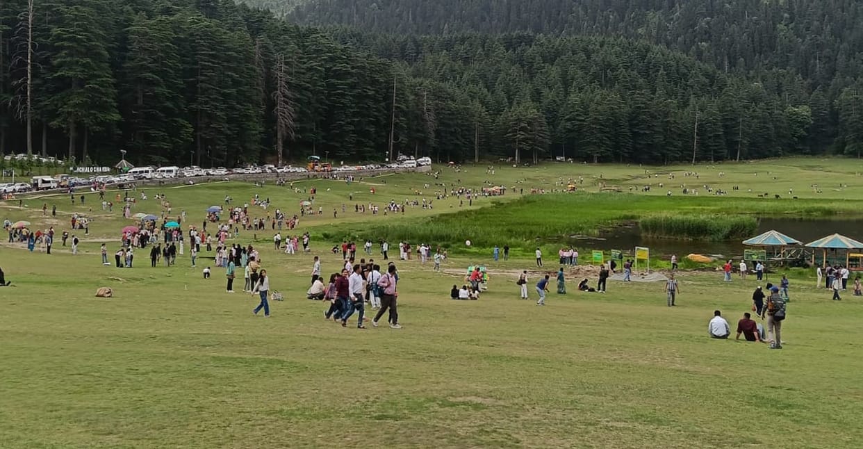 Tourism business flourishes with the arrival of guests