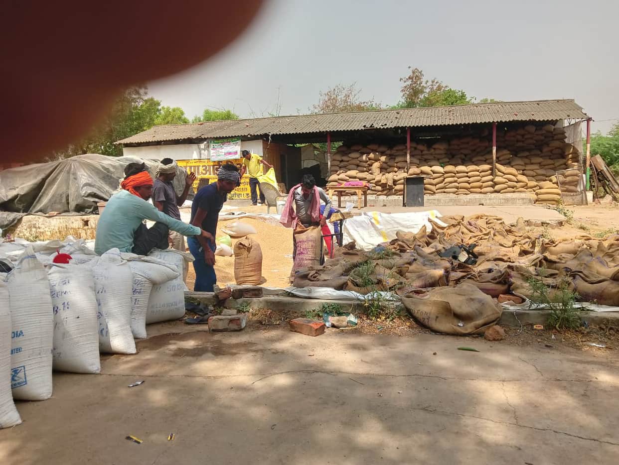 Purchasing centers are full, farmers' homes are converted into warehouses
