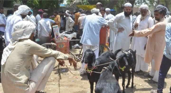 Impact of inflation: Goat markets are less lively, prices are higher