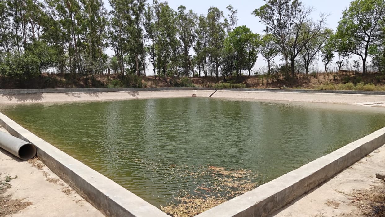 50-year-old water tanks, bean water getting mixed, no cleaning system