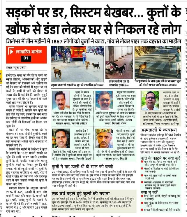 Preparations underway to curb the menace of stray dogs, dog shelter to be built in Hamirpur