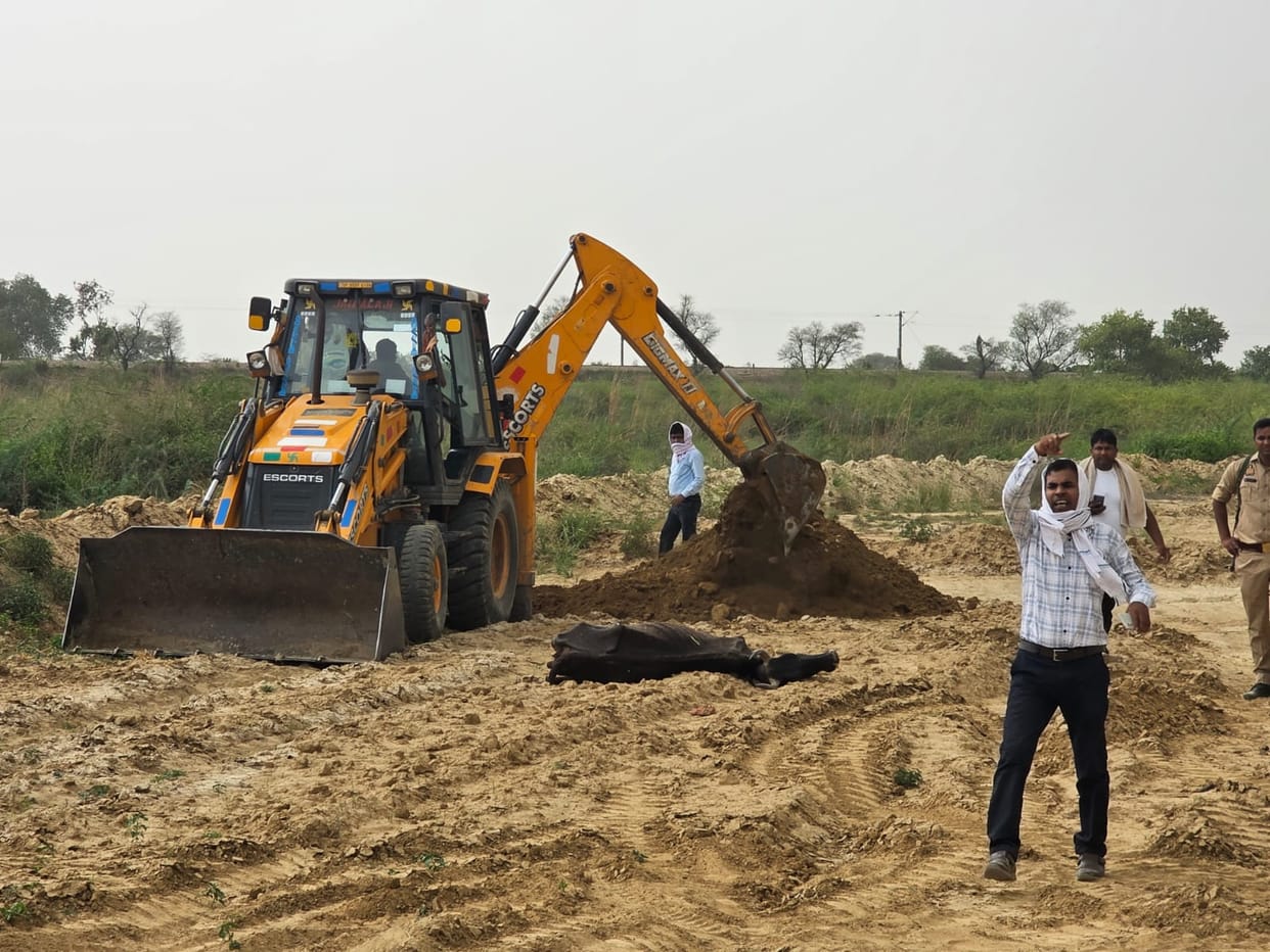 12 Cattle Die After Consuming Leftover Food from Funeral Feast