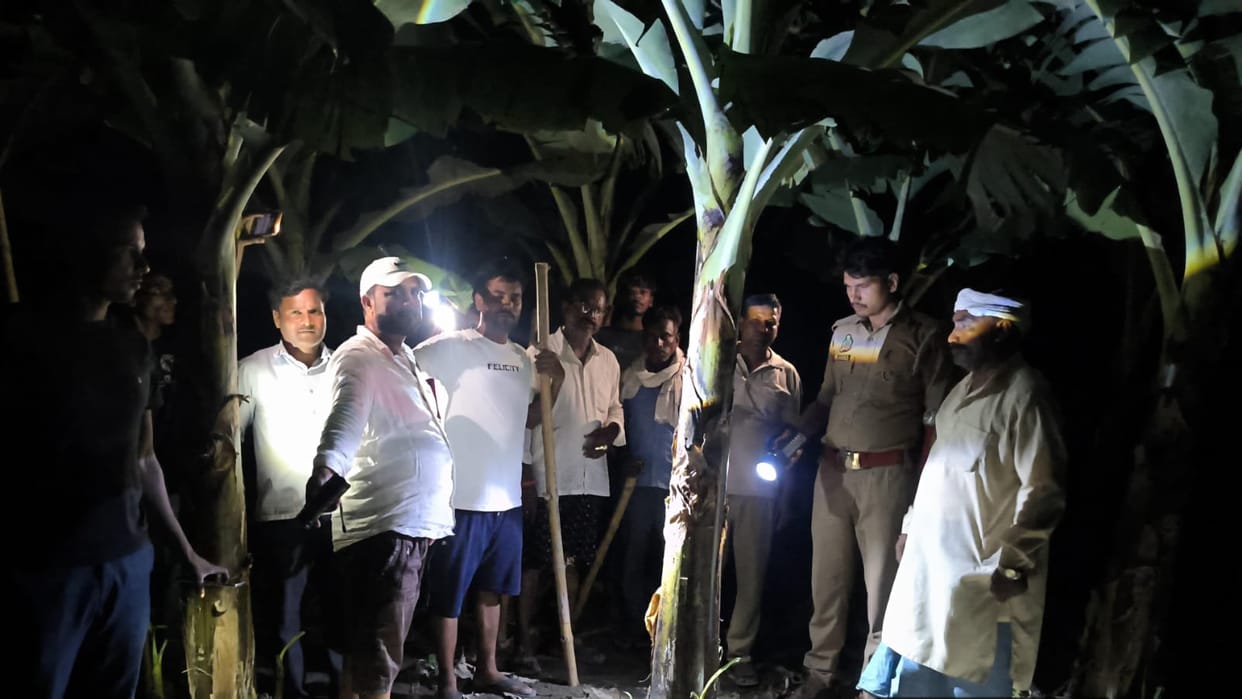 Claim of Two Leopards Sighted in Field; Panic Among Villagers