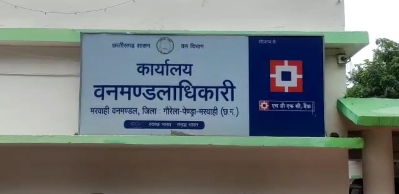 वृक्षारोपण कार्यों में बड़ा वित्तीय घोटाला