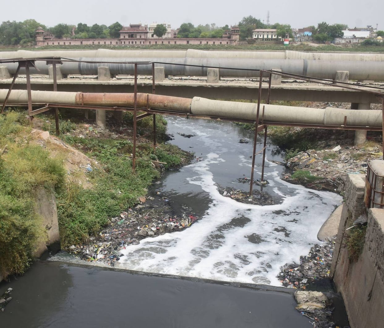 Ganga Dussehra tomorrow, Yamuna turns black due to sewage and industrial waste, water unfit for bathing