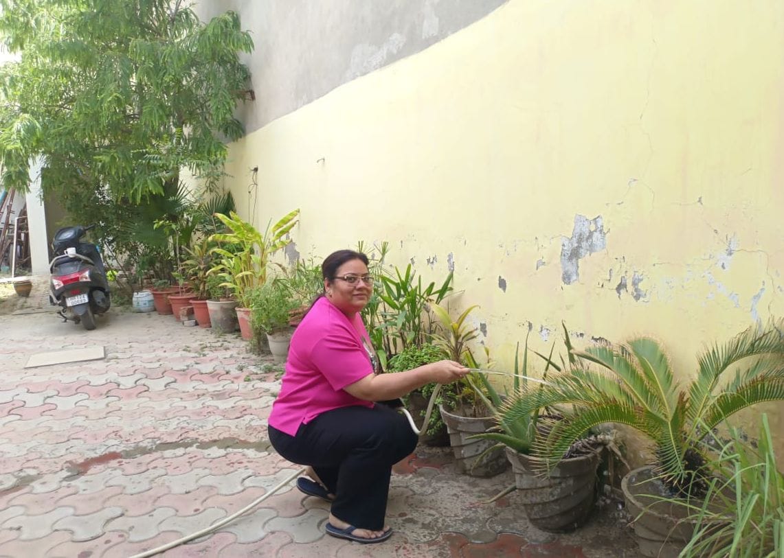 Rosie Khaneja's garden is a haven of greenery, with over 120 plants.