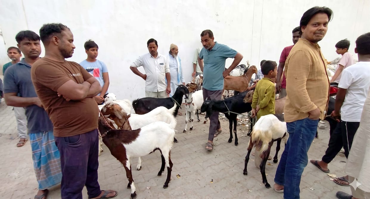 Sacrificial goats are available for Rs 15,000 to Rs 50,000.