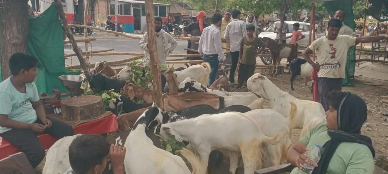 Markets set up for sacrifice, goat prices reach up to 1 lakh