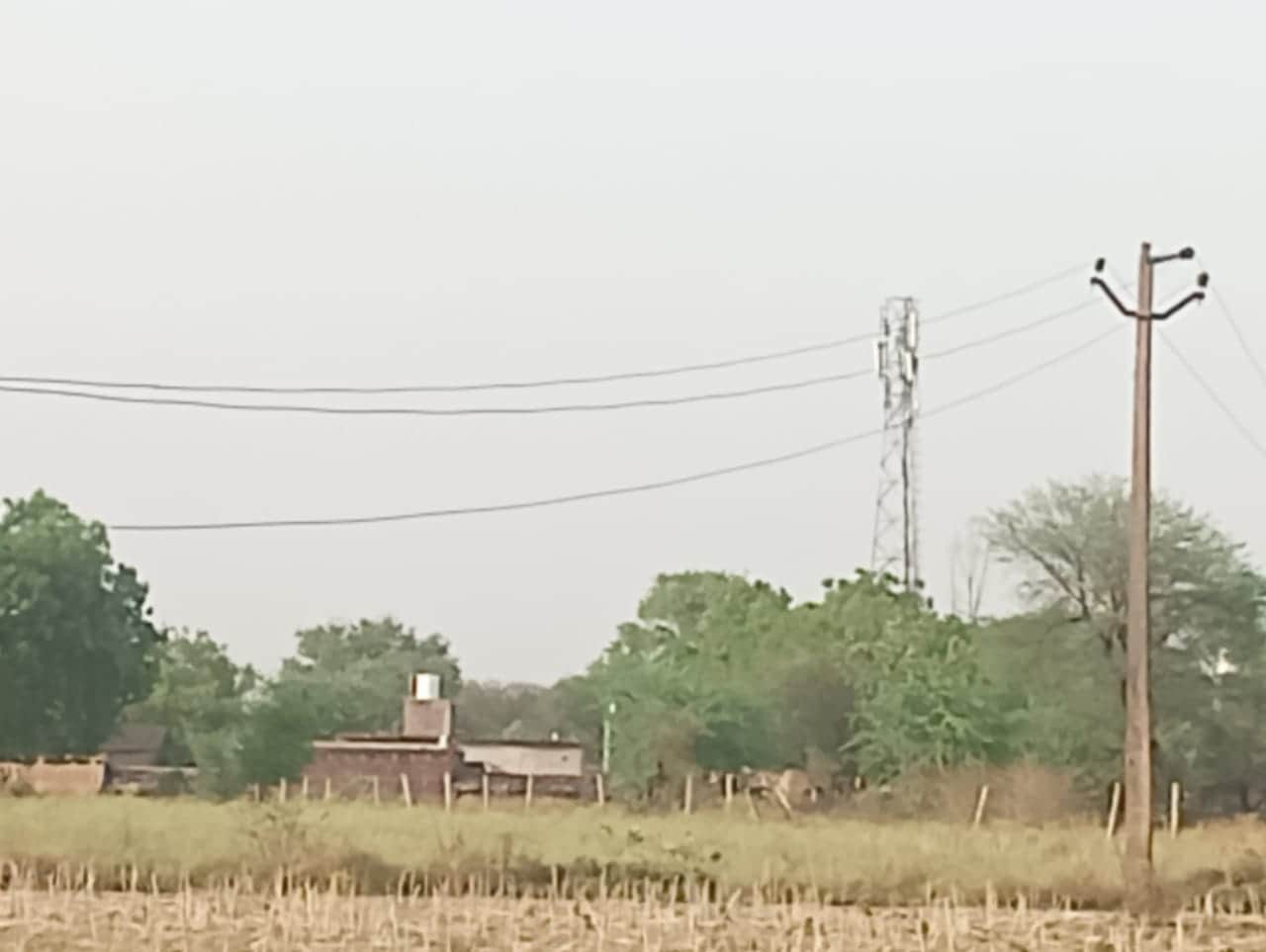 फोटो - 06 खप्टिहा कलां गांव में लटकते जर्जर हाईटेंशन तार। संवाद