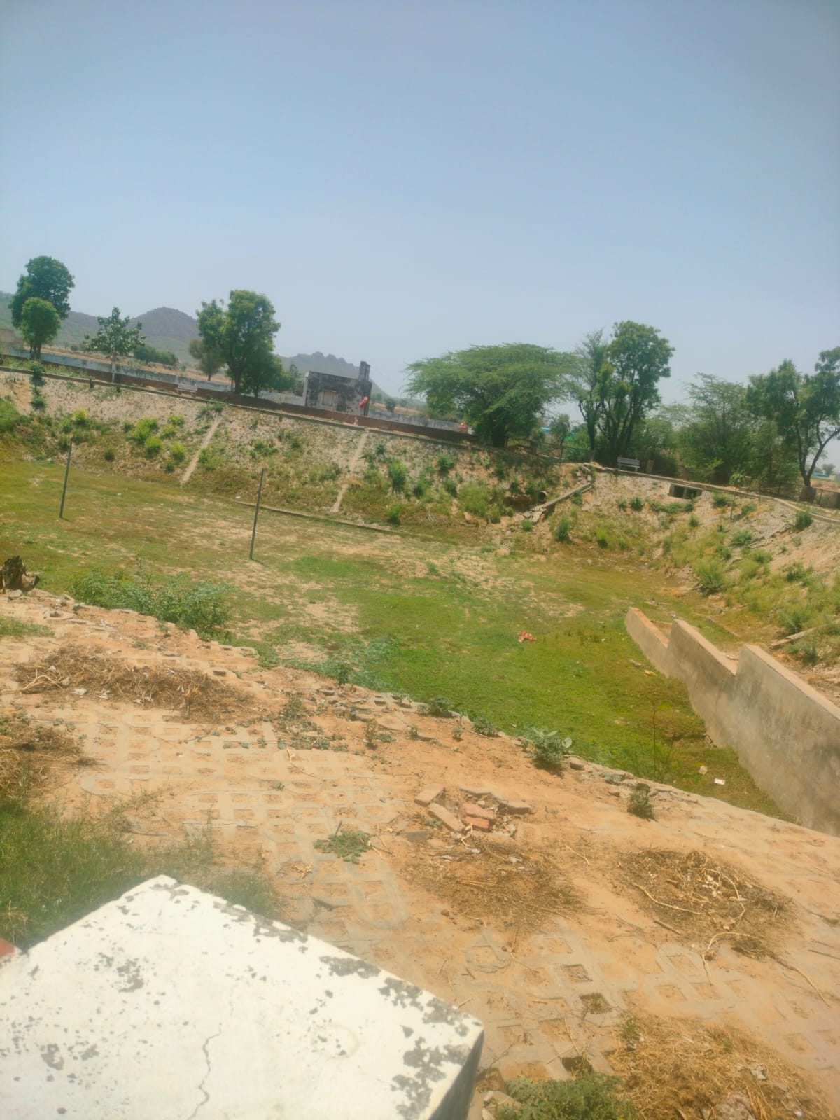 Parched Ponds and Thirsty Wildlife... Water Crisis Deepens Due to Shortage of Canal Water