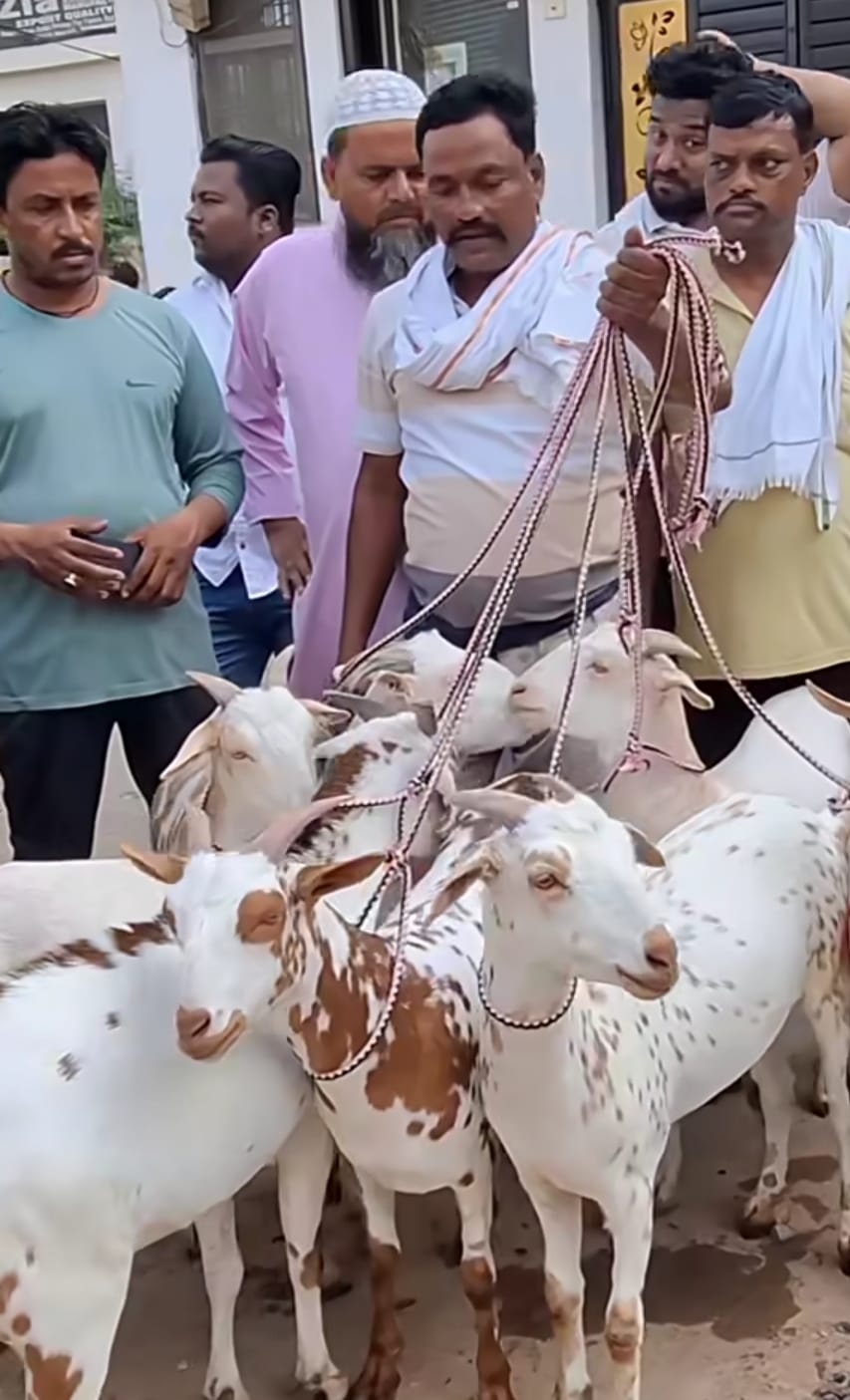 Eid-ul-Adha gives the message of sacrifice and renunciation