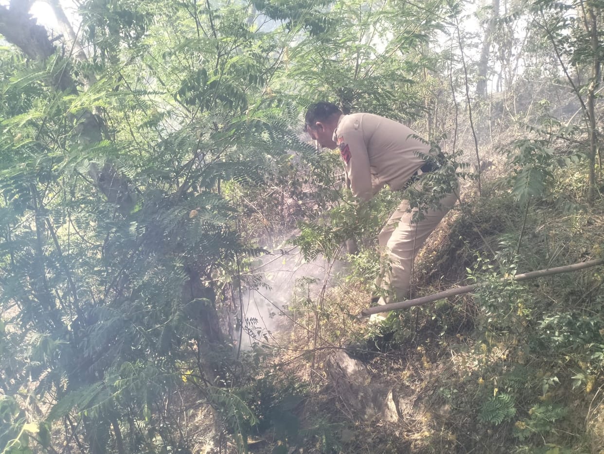 Forest fire broke out simultaneously at five places in the district