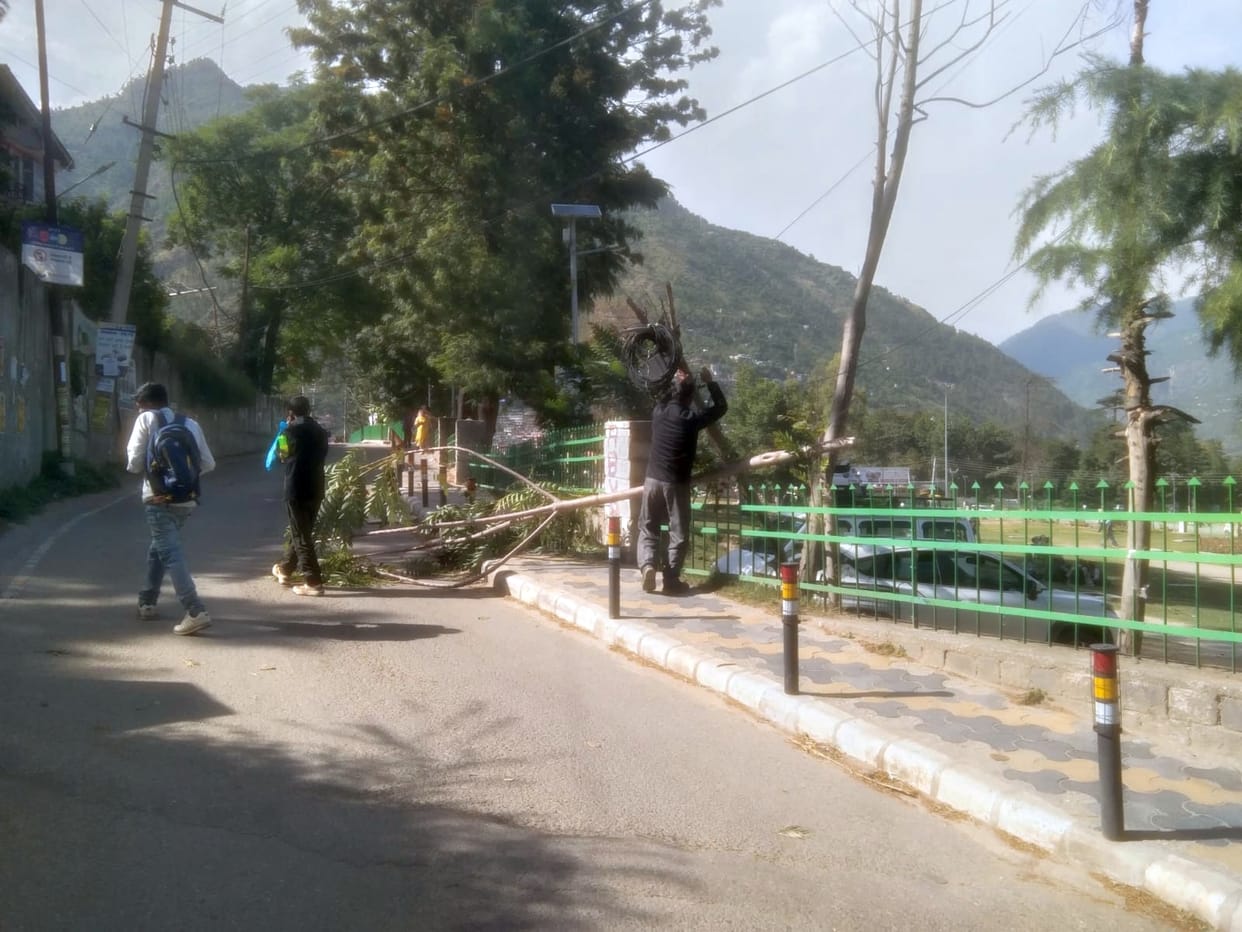 People in Kullu are troubled by the storm, trees fell at many places.