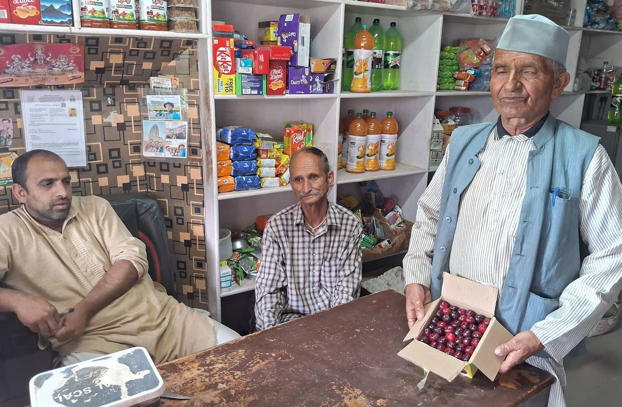 Cherry season begins in Larki, gardeners are getting good prices