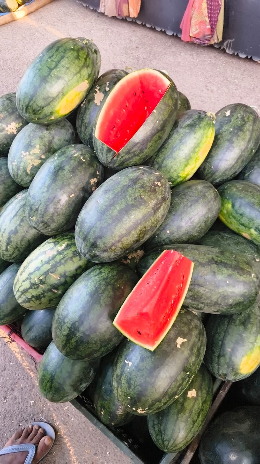 Watermelon trade is sluggish, with consignments of melons arriving from Agra.