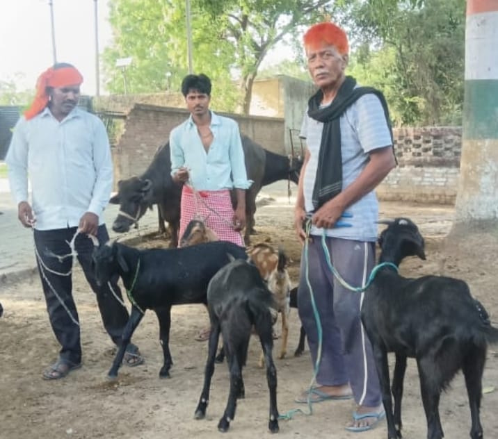 Appeal not to share photos of animal sacrifice on social media.