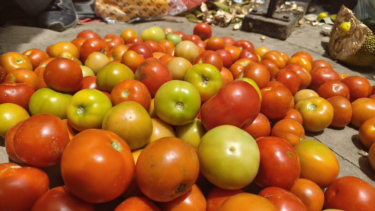 The first consignment of local tomatoes reached the Kisan Janta vegetable market and fetched Rs 40 per kg.