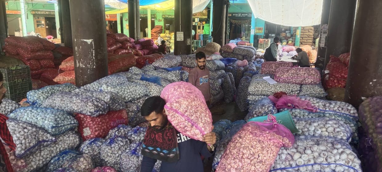 Increased demand for garlic in the state from outside states