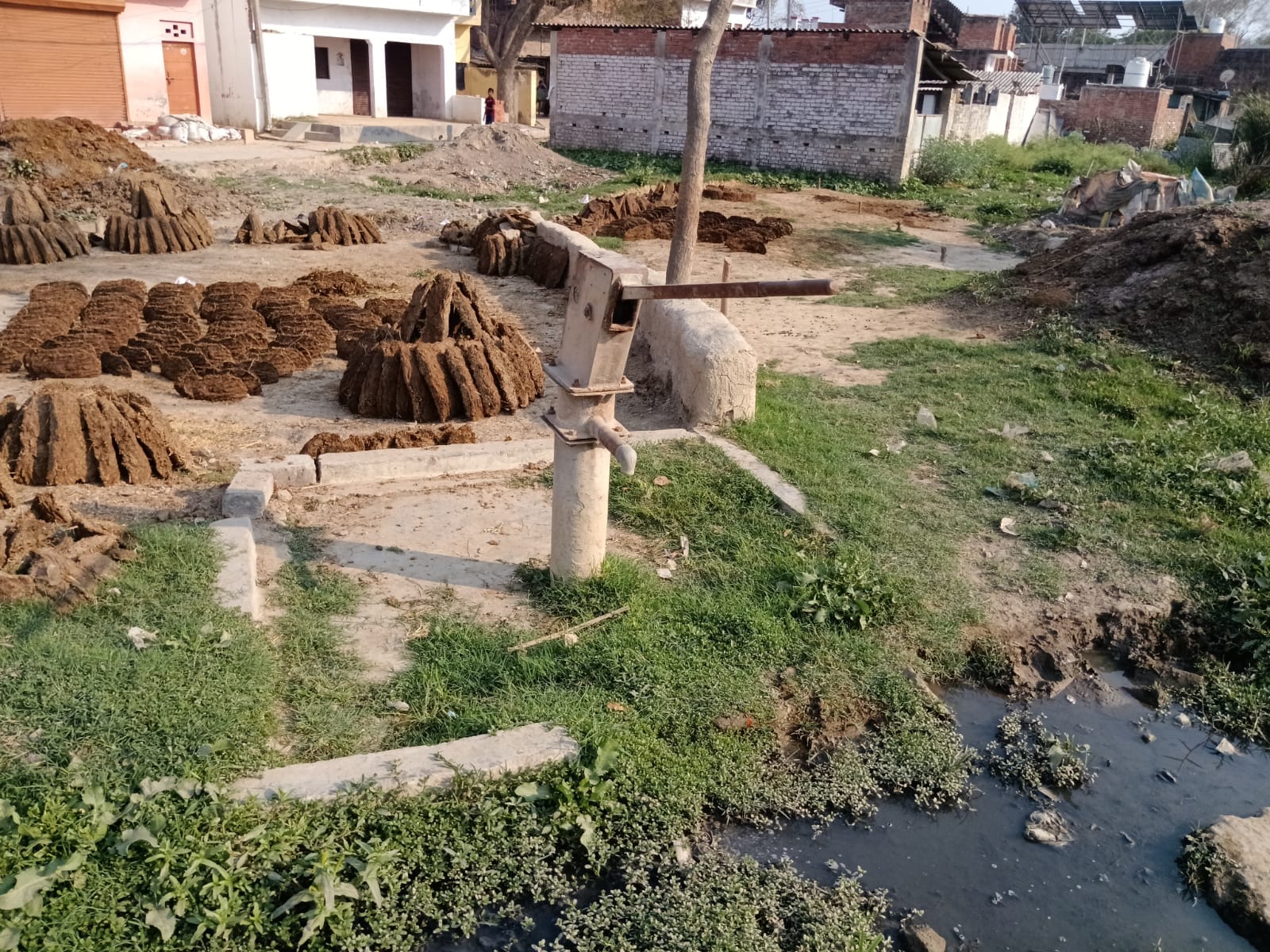 सिराथू ब्लॉक के कसिया पश्चिम गांव में खराब पड़ा हैंडपंप।  संवाद