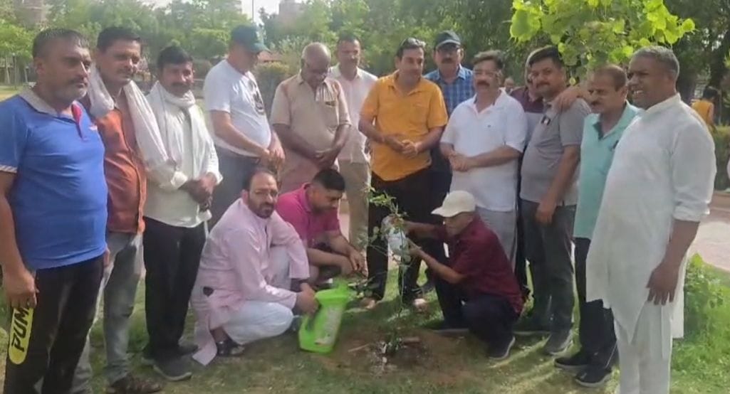 Members of RWA Subhash Nagar planted trees in the park.