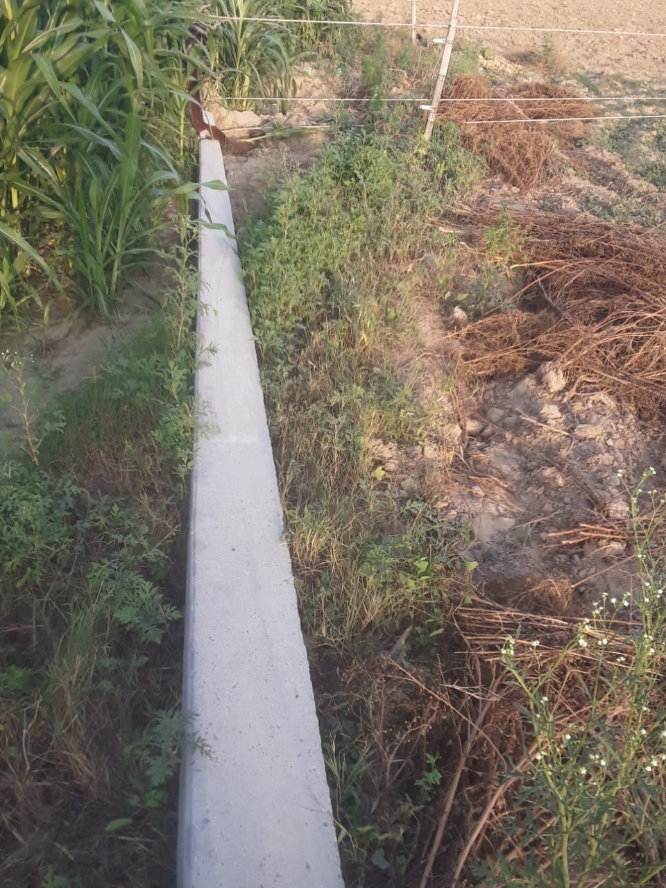 Woman dies after a piece of cement pole placed on her hut falls during a storm