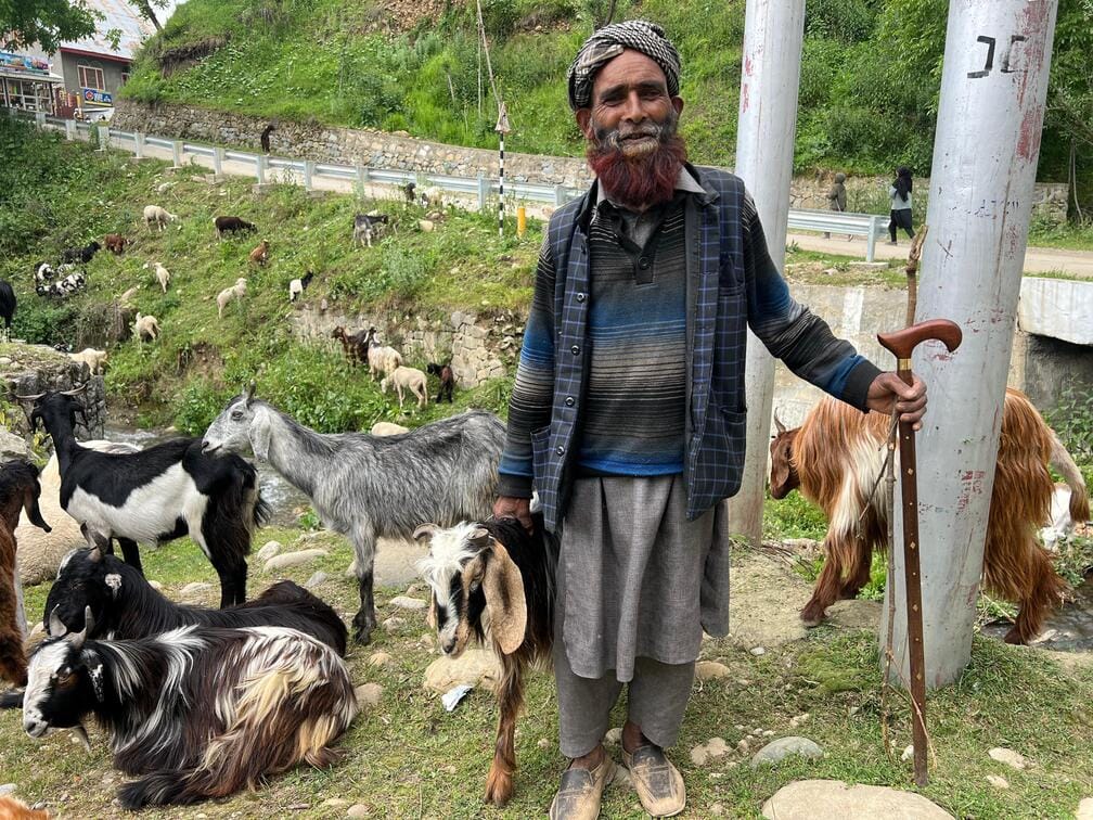 Srinagar, Gujjar Bakkarwal, Community, Reached Migrants
