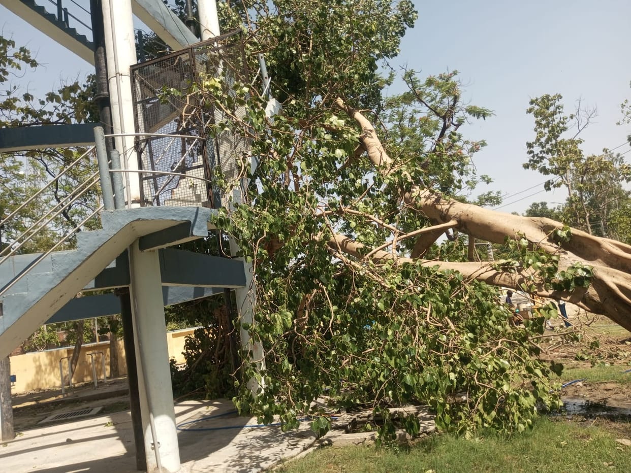 Storm wreaks havoc: 80 trees fell and 450 poles collapsed