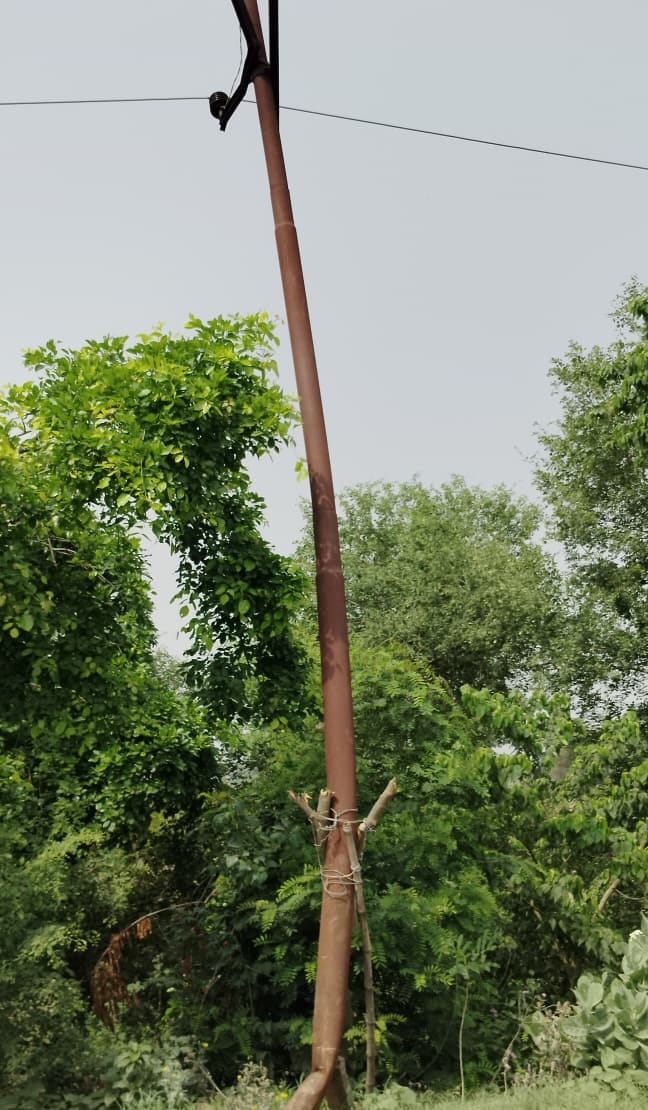33 kV Pole Propped Up by Bamboo Poles on the Bairia-Revati Road