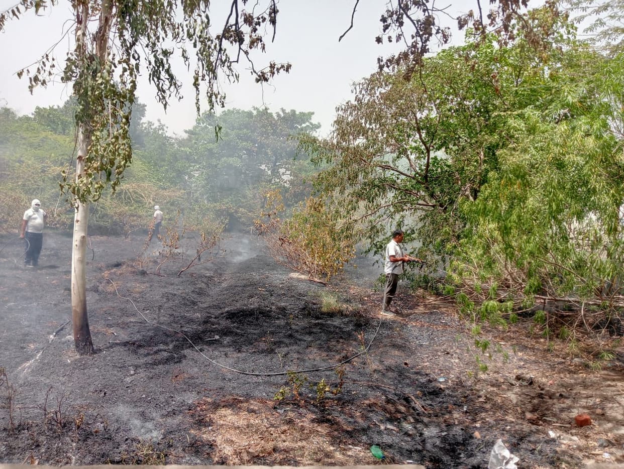 A spark from a transformer in the CMO office premises caused a fire in the garden.