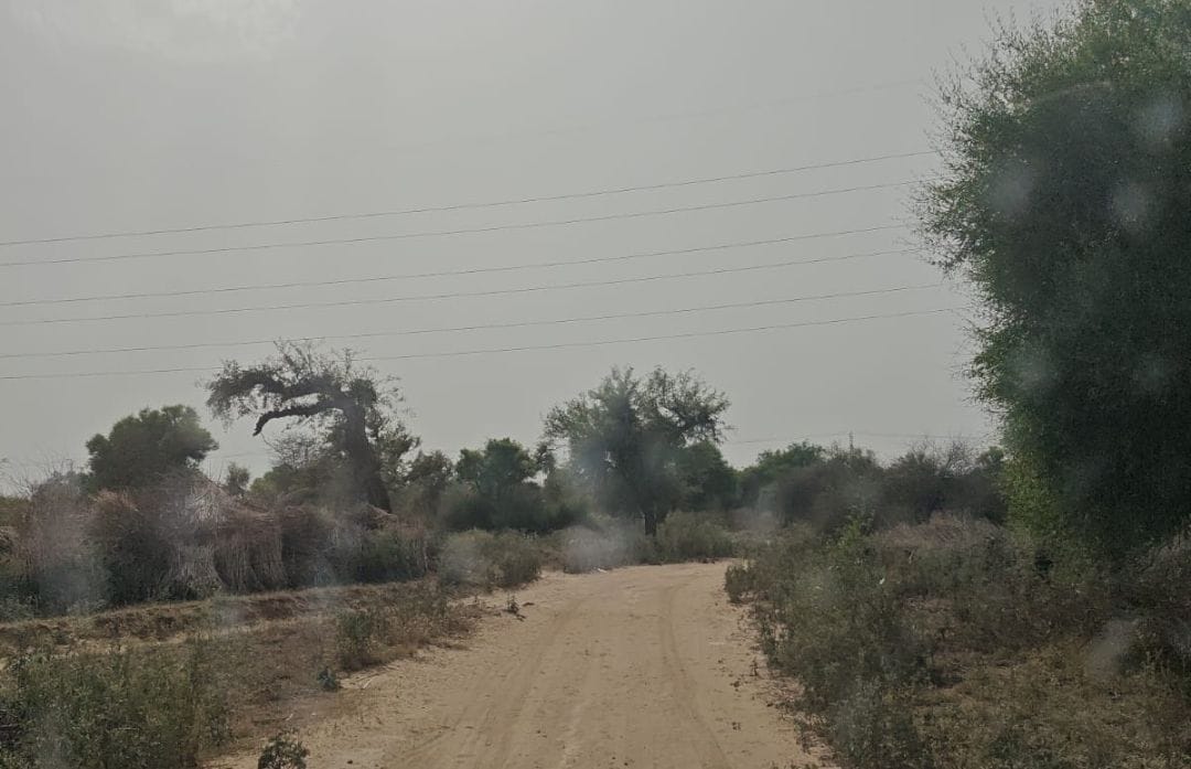 Paved roads will be constructed in the Mahendragarh-Satnali region.