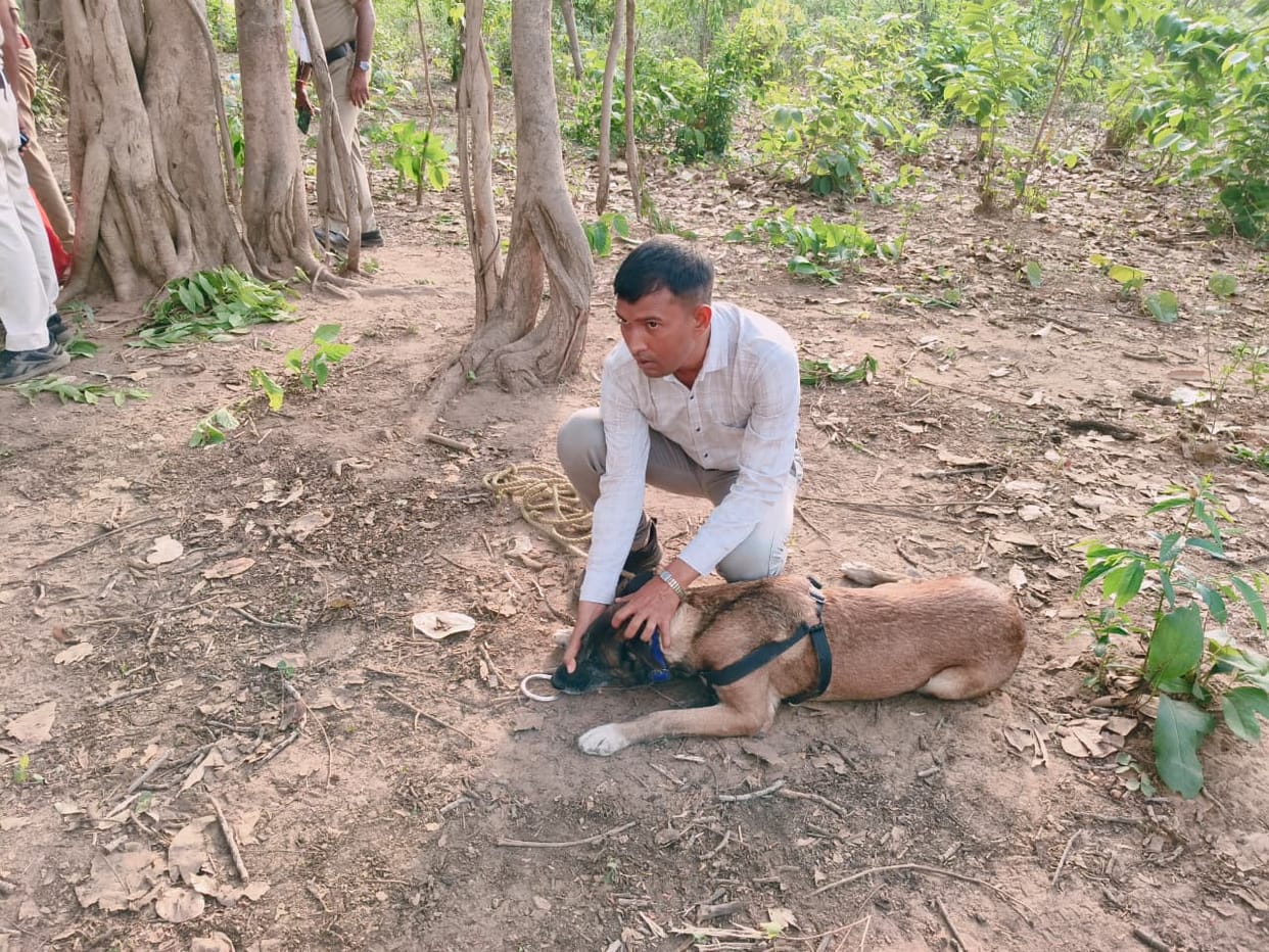 Two suspects in custody in case of minor body found in forest in Raigarh