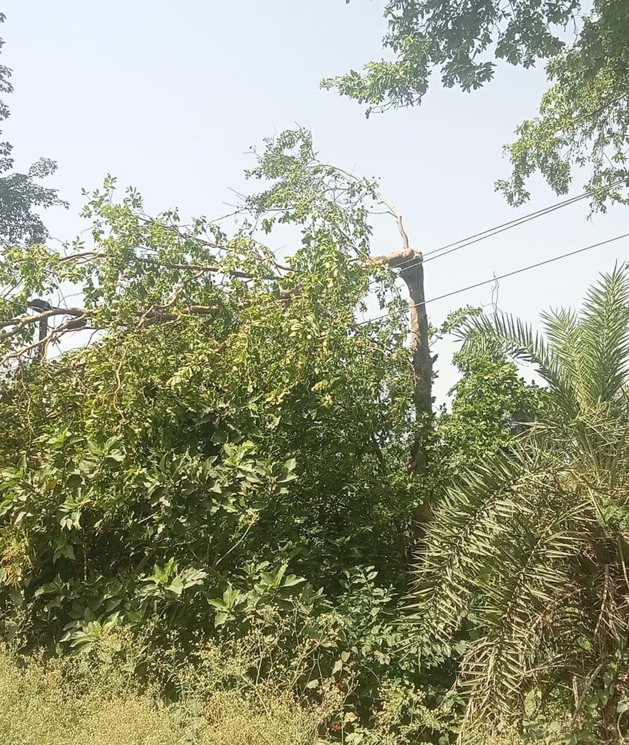 Storm disrupts power supply, crisis spreads from city to village
