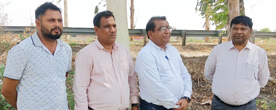 Two people, including the son of the city council chairman, have been arrested for illegally cutting 18 trees
