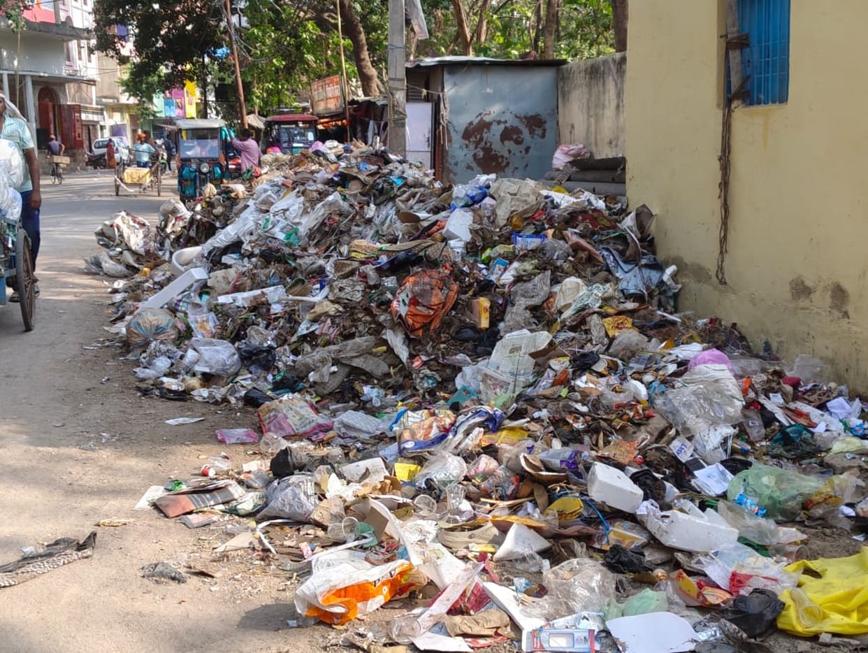 A Spectacular Display of Sanitation No Space Left for Waste
