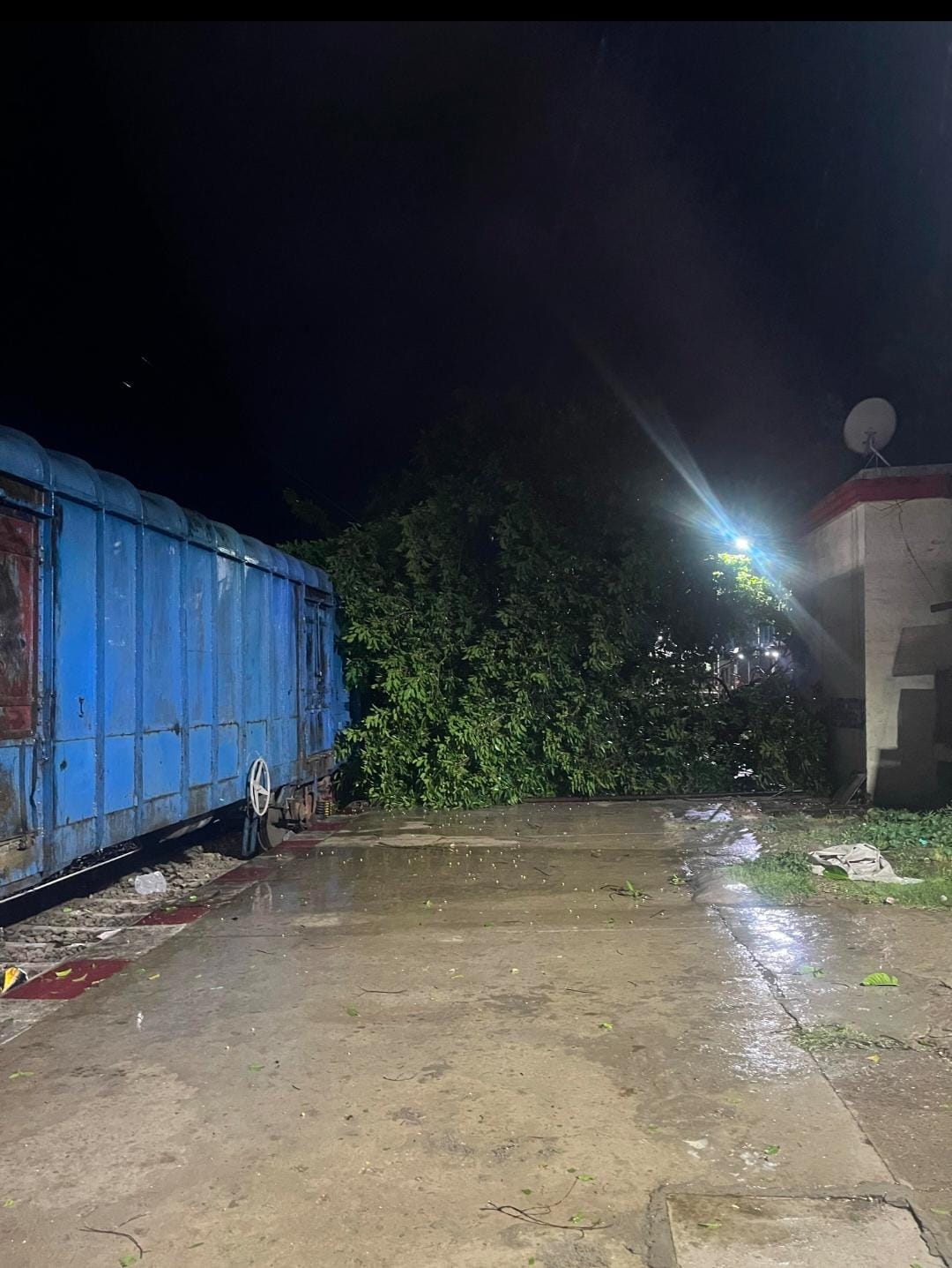 Tree Falls on OHE Line; Train Operations on Up Line Suspended for Seven Hours